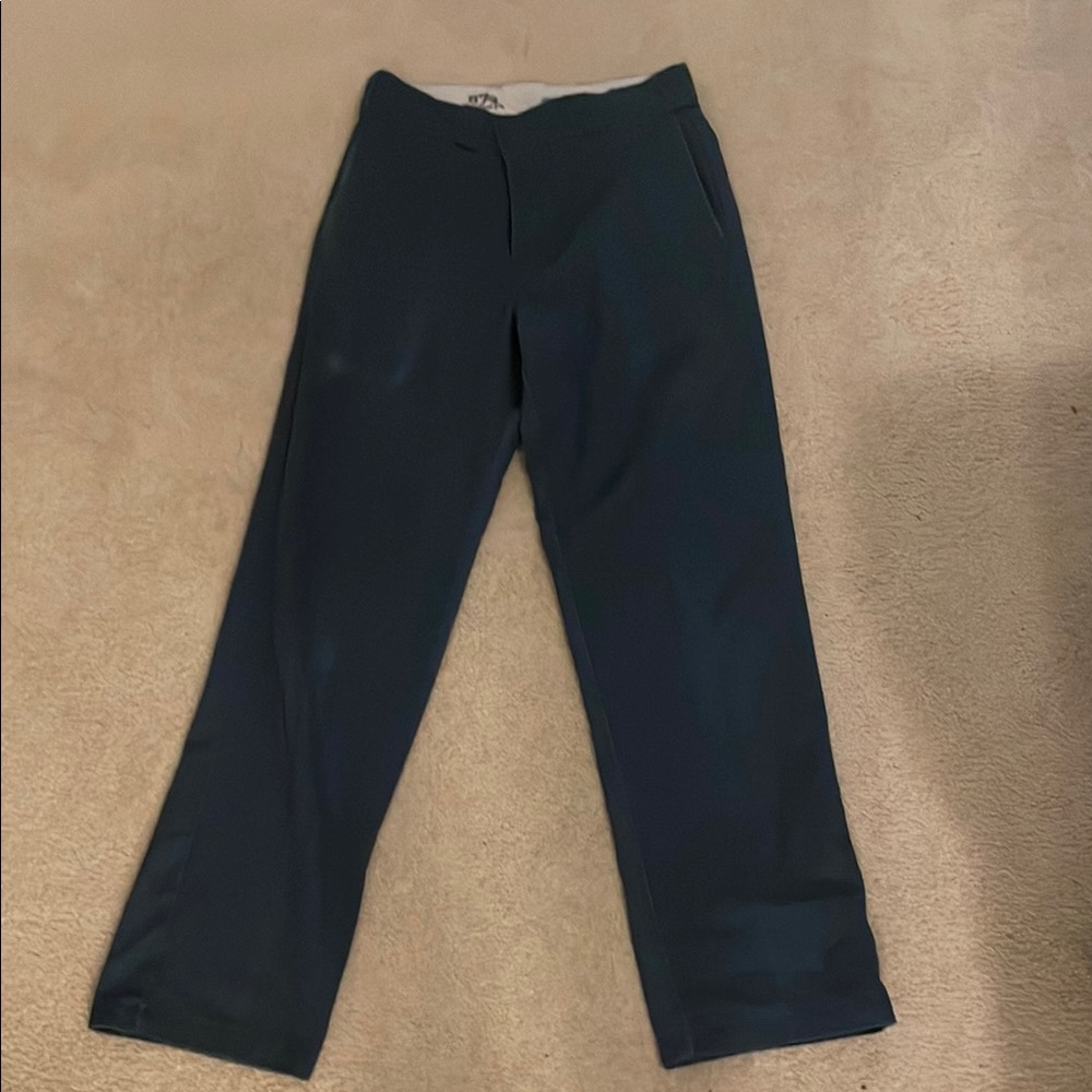 Men's blue Dickies pants